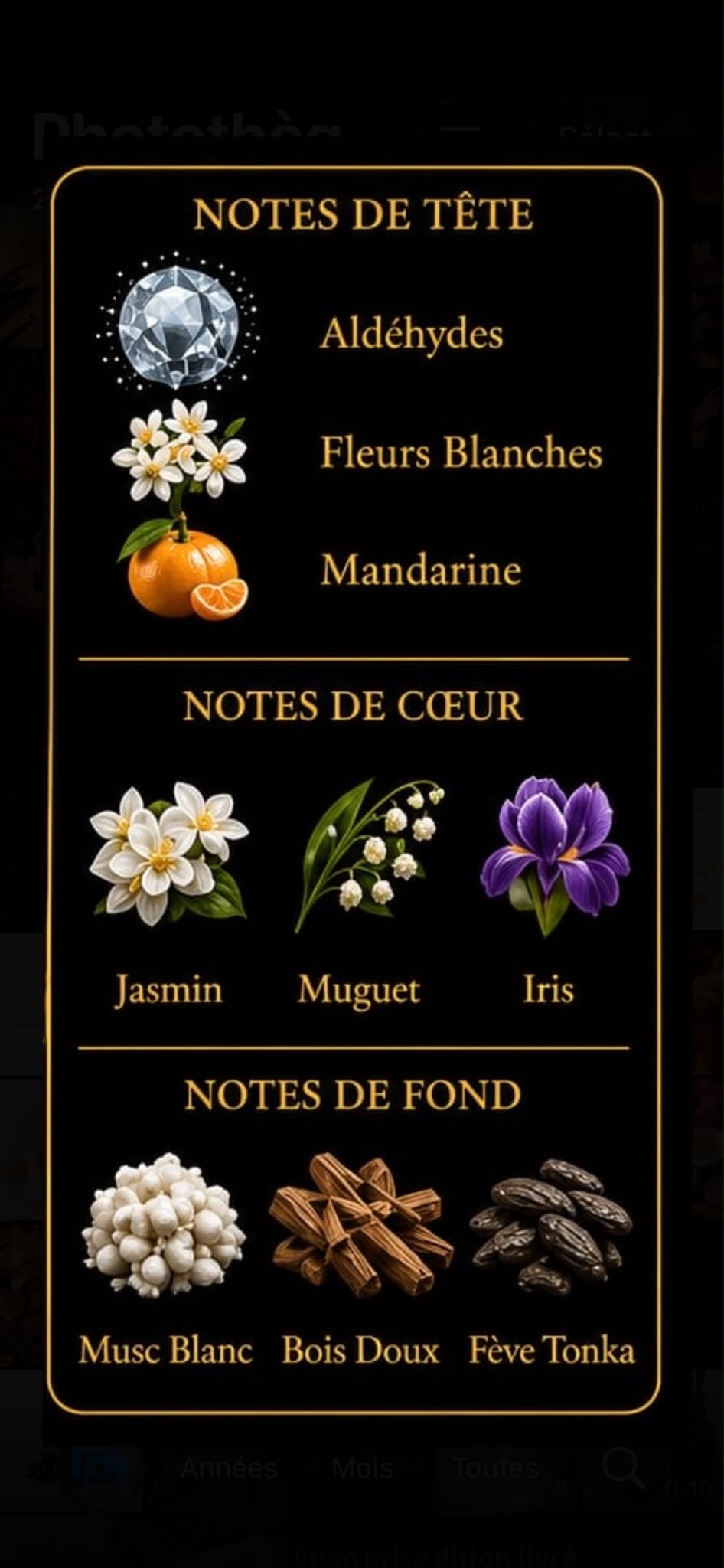 Musc Blanc
