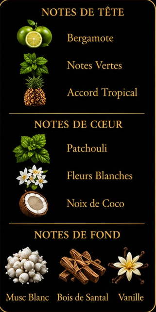 Musc Patchouli
